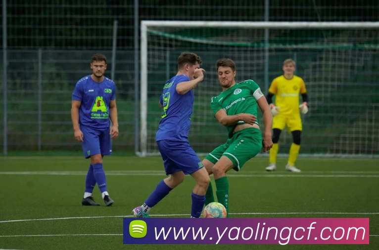 未来规划